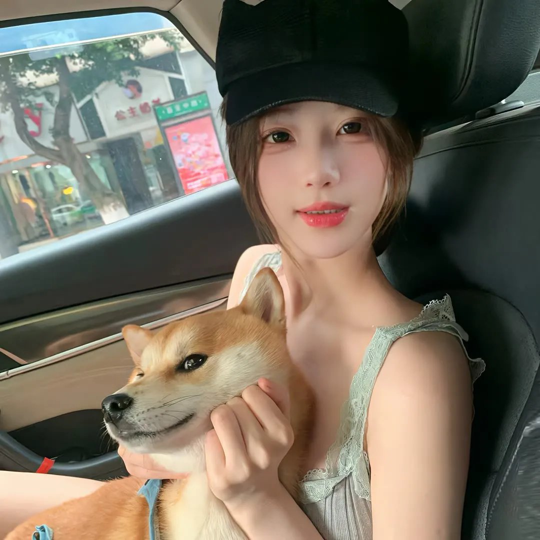 理想主义者 封面